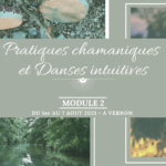 Pratiques Chamaniques et Danses Intuitives - Module 2