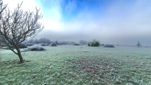 le givre sur le champ : paysage hivernal à la Thébaïde