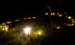 ArbRuisseau Des Cendres à la Vie les Veilleuses qui accompagnent le processus de transformation