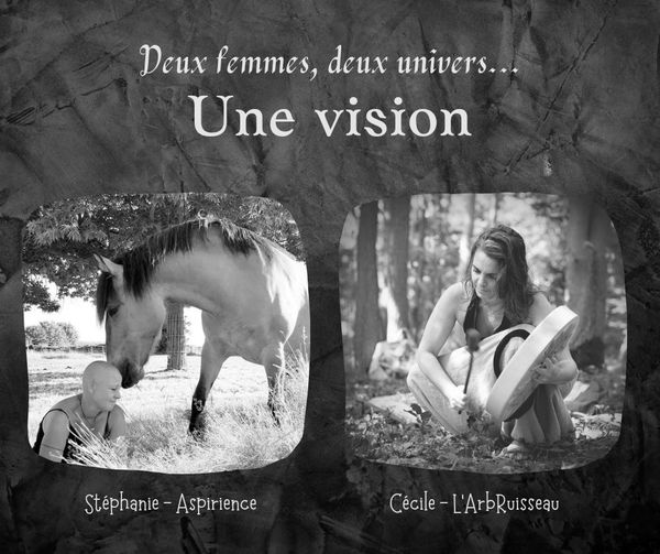Fabriquer son Tambour Chamanique accompagné.e par les Chevaux - Courcelles lès Gisors