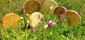 Les Tambours de l'ArbRuisseau. réalisations de tambours chamaniques artisanaux en pleine nature