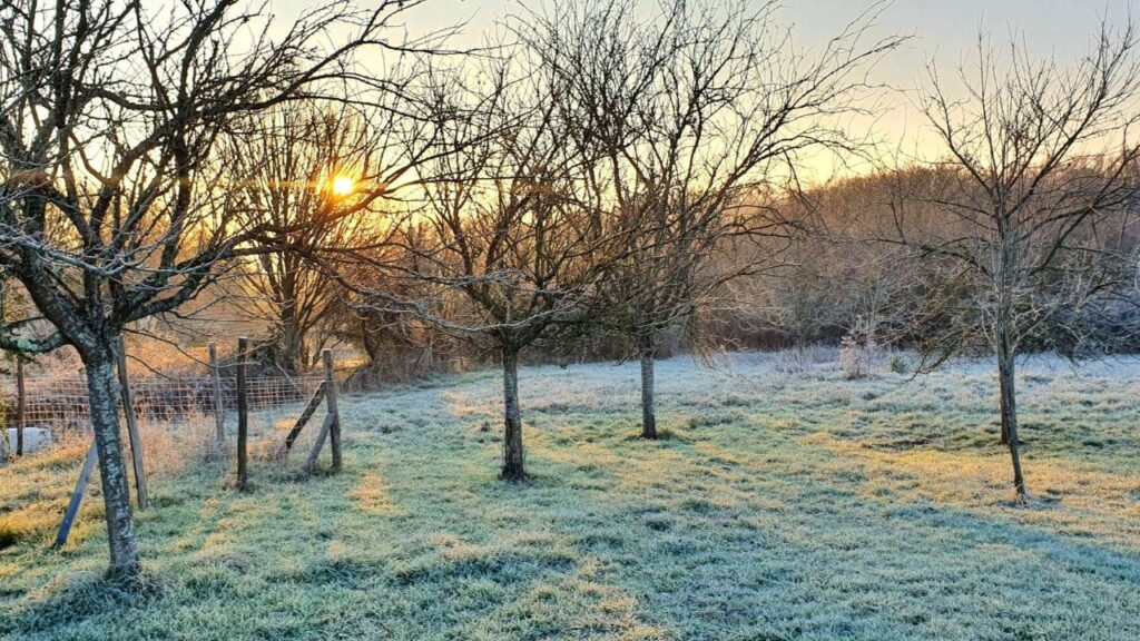le givre blanchit les paysages de la Théaïde en hiver. le soleil éclaire le champ